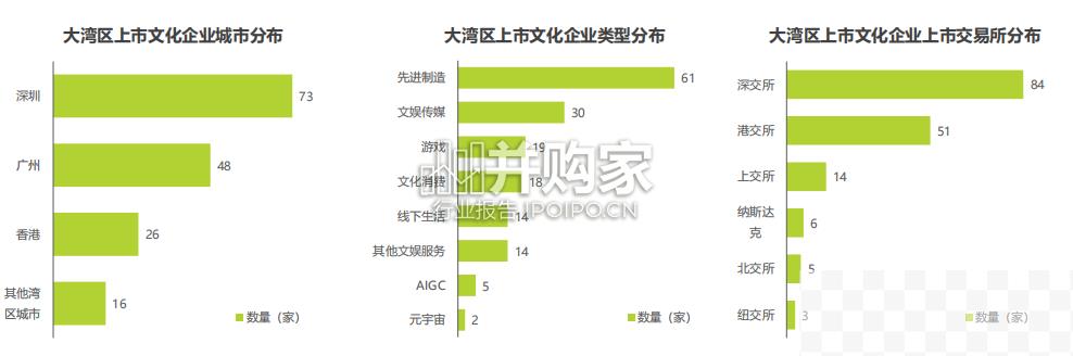 2023年粤港澳大湾区文化产业投资趋势研究报告（58页）