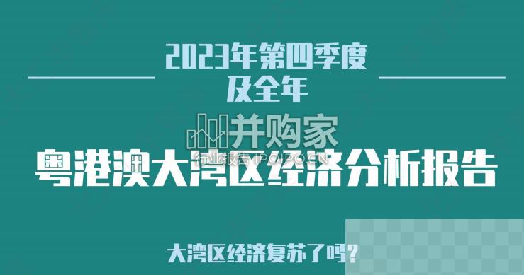 粤港澳大湾区经济分析报告（25页）